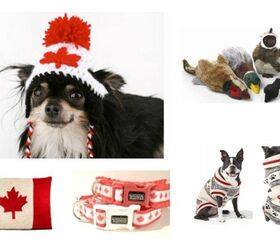 10 Canuck Eh-ssentials for Canadian Canines