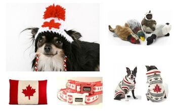 10 Canuck Eh-ssentials for Canadian Canines