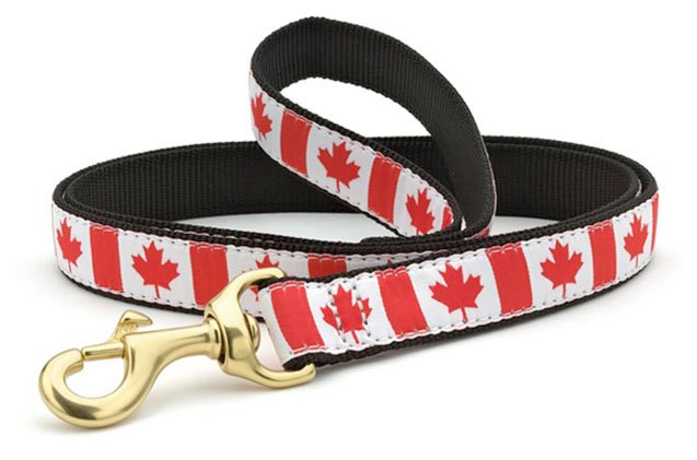 10 canuck eh ssentials for canadian canines