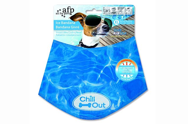 10 hot picks thatll keep your canine cool