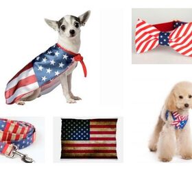 10 Sassy Star Spangles for Your Patriotic Dog