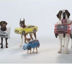 Ford Adorably Matches Cars With Their Canine Doppelgängers [Video]