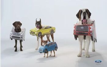 Ford Adorably Matches Cars With Their Canine Doppelgängers [Video]