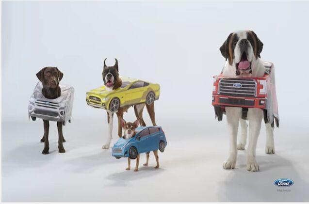 ford adorably matches cars with their canine doppelgngers video
