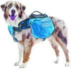 hiking hounds why hiking backpacks for dogs help lighten the load