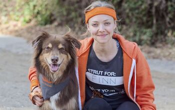 Actress Amanda Seyfried Struts Her Mutt For Rescue Pups