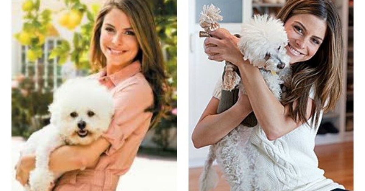 Behind-The-Scenes at Sweet 16 Bash for Maria Menounos’ Pooch! | PetGuide