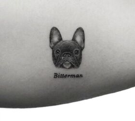 14 Funny French Bulldog Tattoos That Will Make You Smile  PetPress