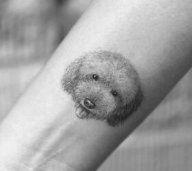 these 8 adorable pet tattoos will tickle you inked