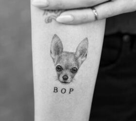 Micro Pet Portrait Tattoos by Sanghyuk Ko - Dog Milk | Tatouage portrait de  chien, Idées tatouage animaux, Tatouages ​​commémoratifs de chien