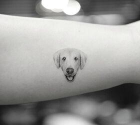 Small pet tattoos | Instagram