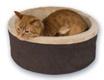 5 cool beds your cat would love to nap in
