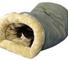 5 cool beds your cat would love to nap in