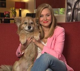 adoptable dogs rescue celebs on new shelter me tv series