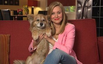 Adoptable Dogs Rescue Celebs on New “Shelter Me” TV Series