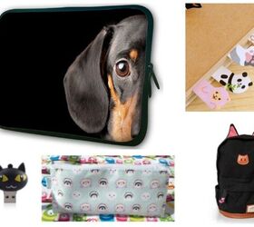 Pawsitively Awesome Back-To-School Supplies