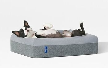 Casper’s New Luxury Mattress Lets Napping Dogs Lie