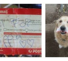 Postal Carrier’s Special Delivery Includes Personalized Pooch Mail