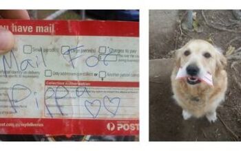 Postal Carrier’s Special Delivery Includes Personalized Pooch Mail