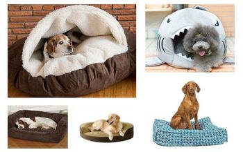 10 Best Beds For Dozy Dogs