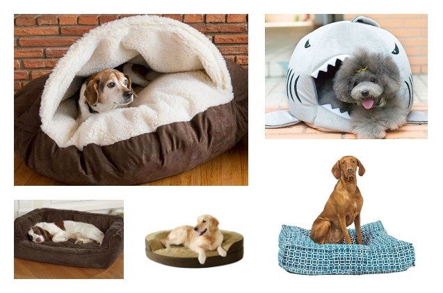 10 best beds for dozy dogs