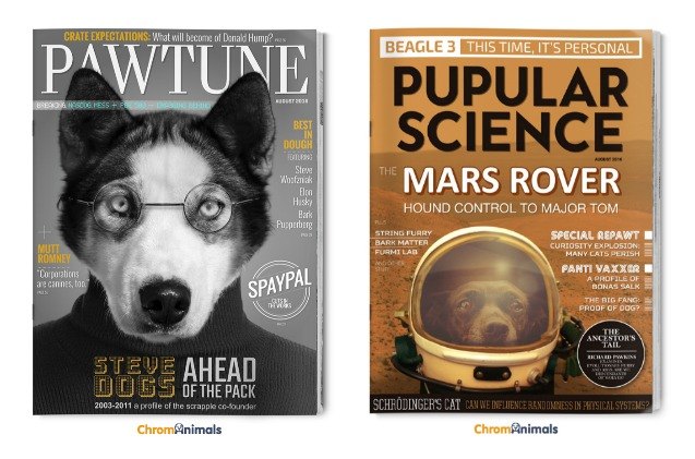 it 8217 s dogs from cover to cover on these adorbs magazine mockups