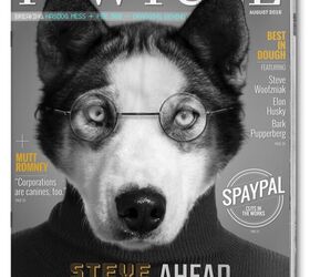 It’s Dogs From Cover to Cover on These Adorbs Magazine Mockups PetGuide