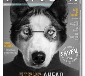 DOGS NSW January 2023 Magazine by dogsnsw - Issuu