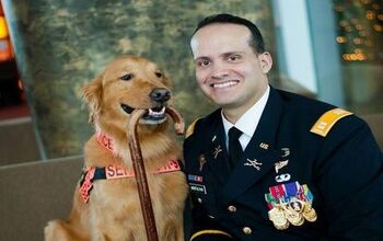 Canine Heroes Help US Veterans With Brain Injuries