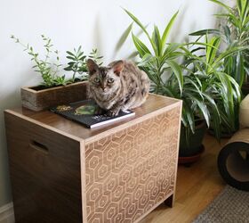 curio custom litter box is the cats meow