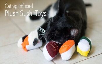 Help Kickstart FoodieKat’s Catnip Infused Sushi Cat Toys
