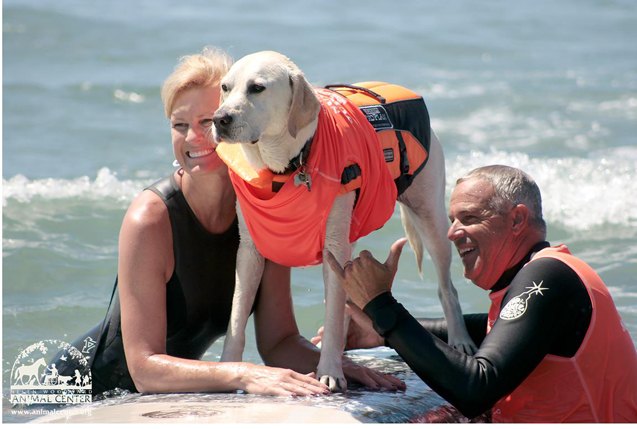 annual surf dog surf a thon celebrates americas heroes