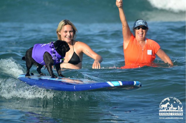 annual surf dog surf a thon celebrates americas heroes