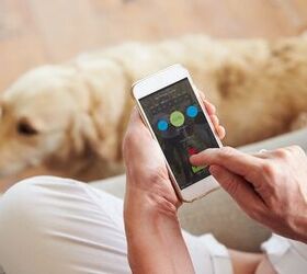 Top 8 Dog Safety Apps for Smart Pet Parents