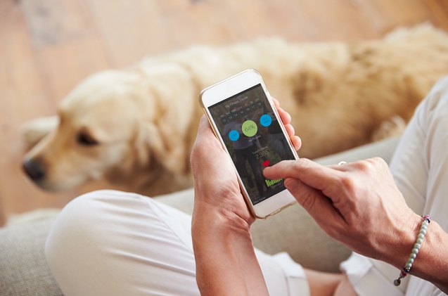 top 8 dog safety apps for smart pet parents