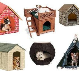 Best Cool Dog Dens to Chill Out In