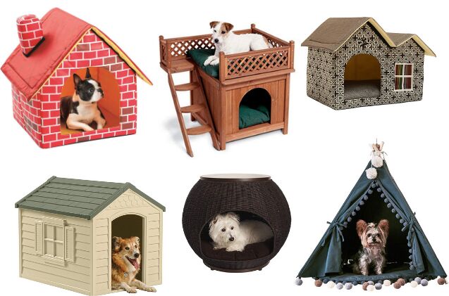 best cool dog dens to chill out in