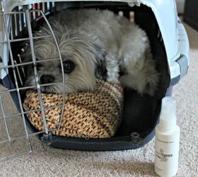 Oscar’s Scoops Grooming Products From Cherrybrook Premium Pet Suppl