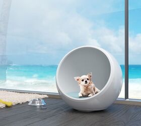 The Coolest (Or Warmest) Pet House You’ve Ever Seen
