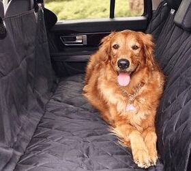 6 Easy Ways To Pet Proof Your Car