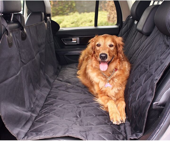 6 easy ways to pet proof your car
