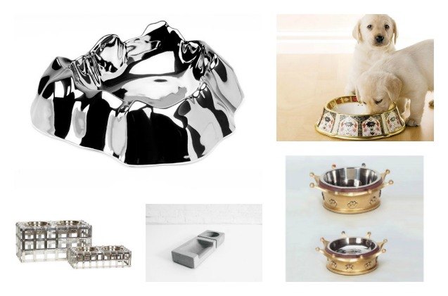best drool worthy doggy dishware