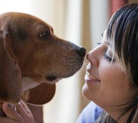 Study: Being Man’s Best Friend May Be Written In Dogs’ Genes