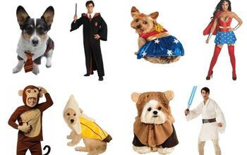 Best Halloween Couple Costumes For You and Your Dog