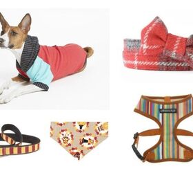 Fashionable Fall Picks for Fabulous Pooches