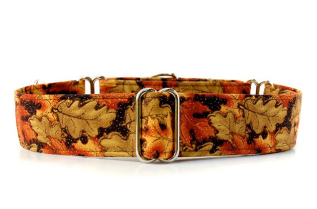 fashionable fall picks for fabulous pooches