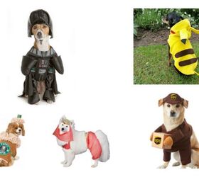 Best Costumes Your Dog Wishes You Never Found