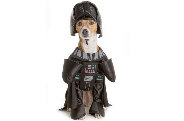 best costumes your dog wishes you never found