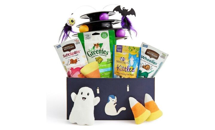 top 12 cat halloween costumes to hiss at