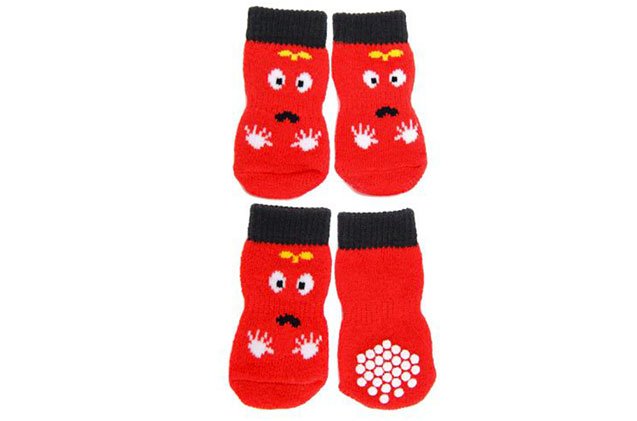 best pairs of pet socks for tender tootsies